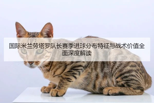 国际米兰劳塔罗队长赛季进球分布特征与战术价值全面深度解读